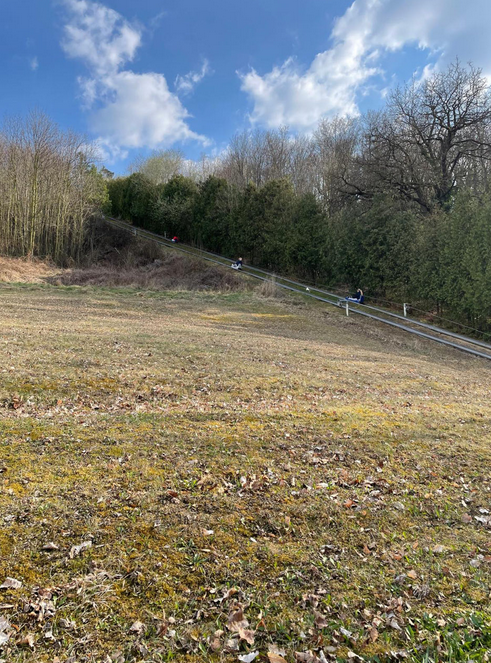 Willekeurige afbeelding uit het fotoalbum