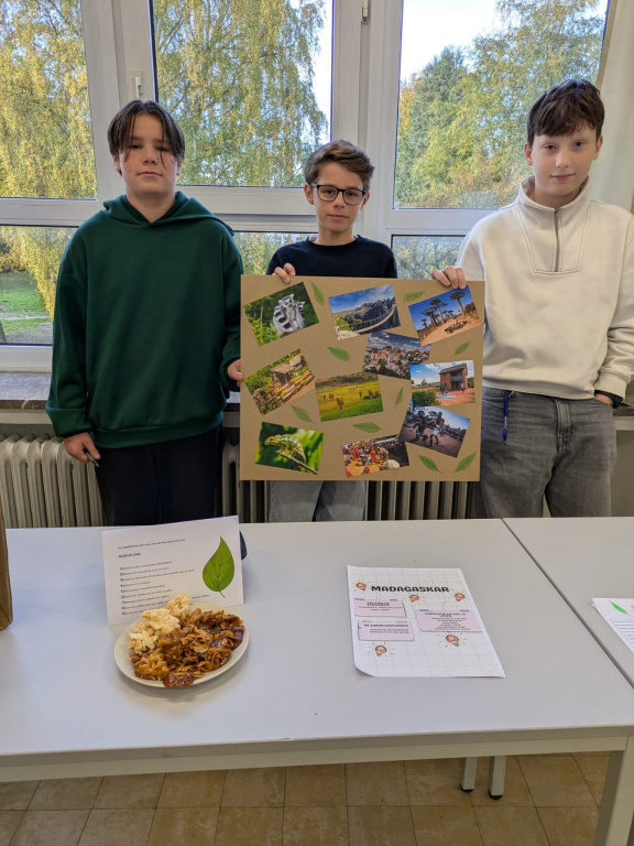 Willekeurige afbeelding uit het fotoalbum