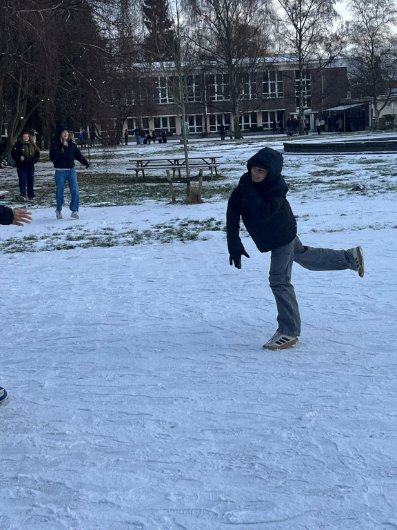 Willekeurige afbeelding uit het fotoalbum