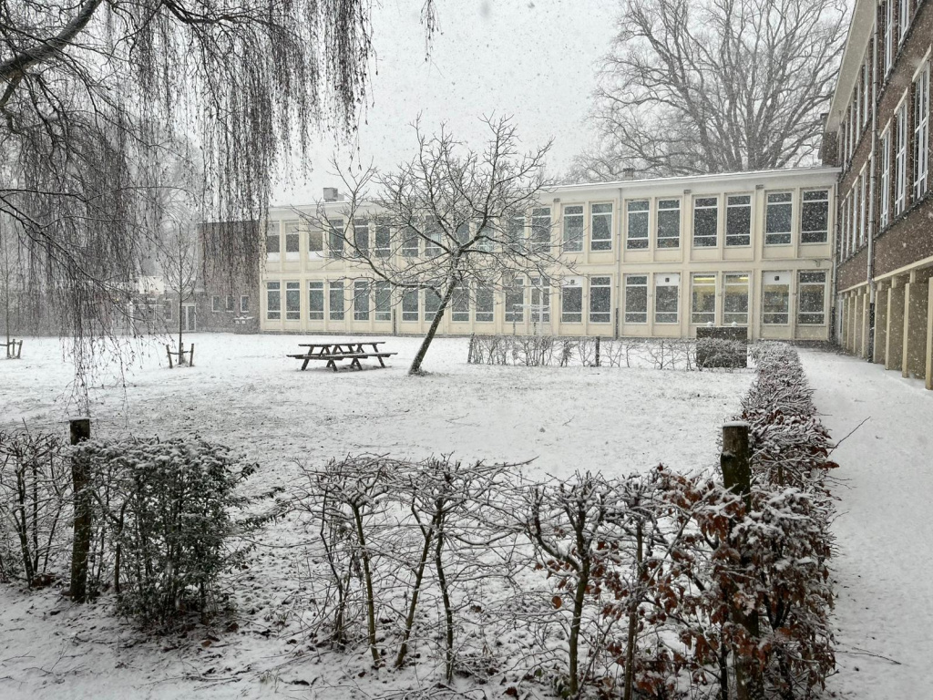 Willekeurige afbeelding uit het fotoalbum