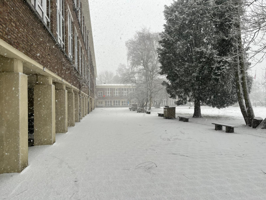 Willekeurige afbeelding uit het fotoalbum