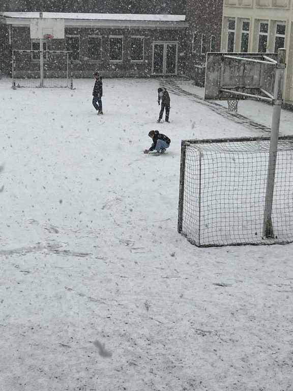 Willekeurige afbeelding uit het fotoalbum