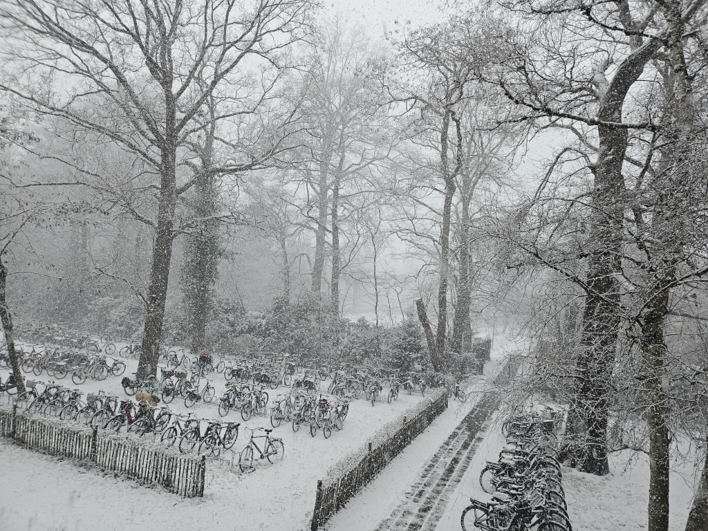 Willekeurige afbeelding uit het fotoalbum