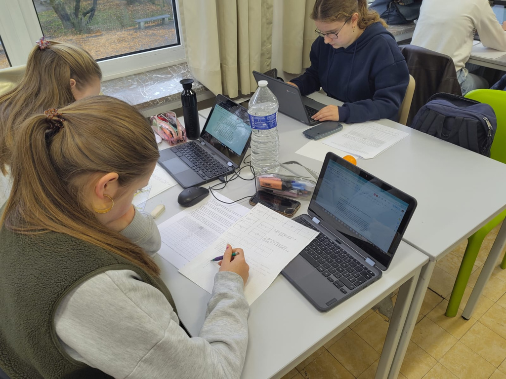 Willekeurige afbeelding uit het fotoalbum