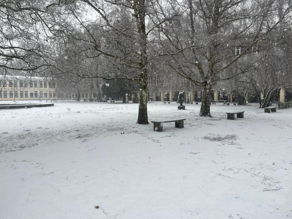 Willekeurige afbeelding uit het fotoalbum