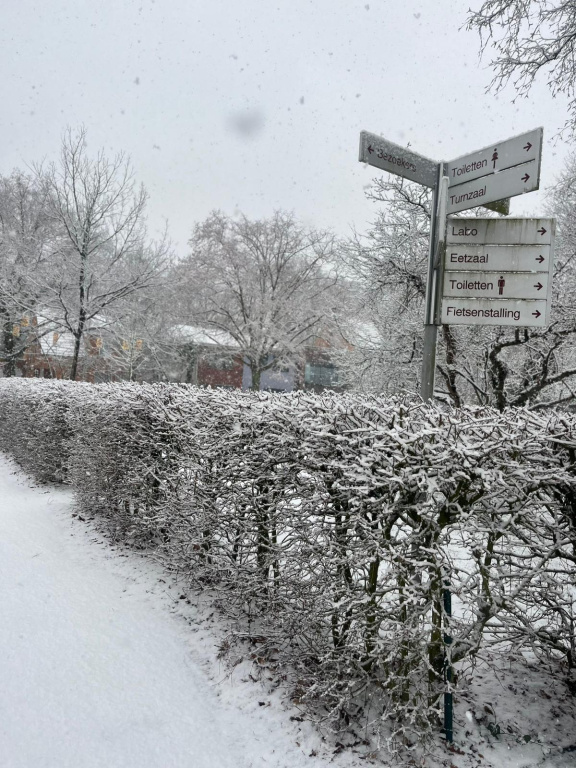 Willekeurige afbeelding uit het fotoalbum