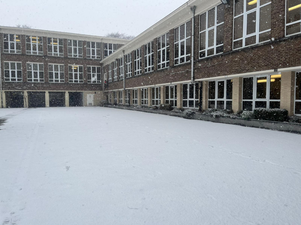 Willekeurige afbeelding uit het fotoalbum