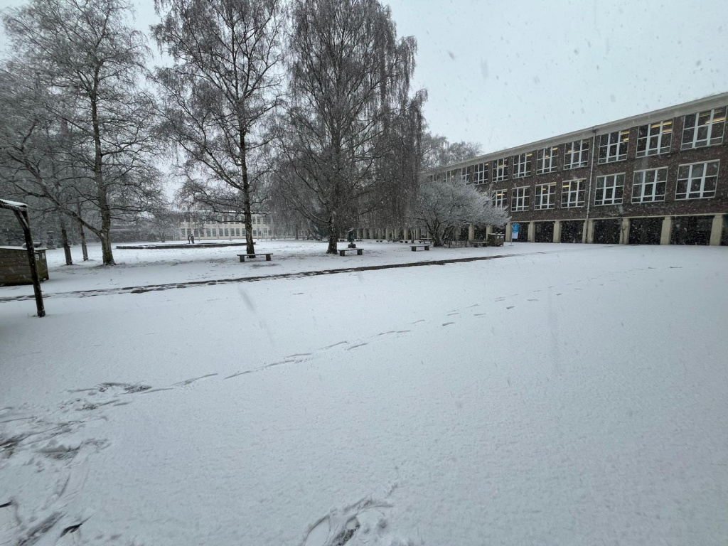 Willekeurige afbeelding uit het fotoalbum