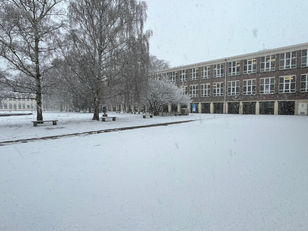 Willekeurige afbeelding uit het fotoalbum