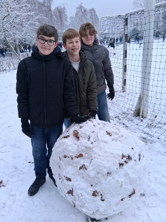 Willekeurige afbeelding uit het fotoalbum
