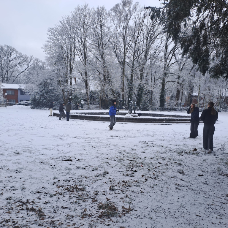 Willekeurige afbeelding uit het fotoalbum