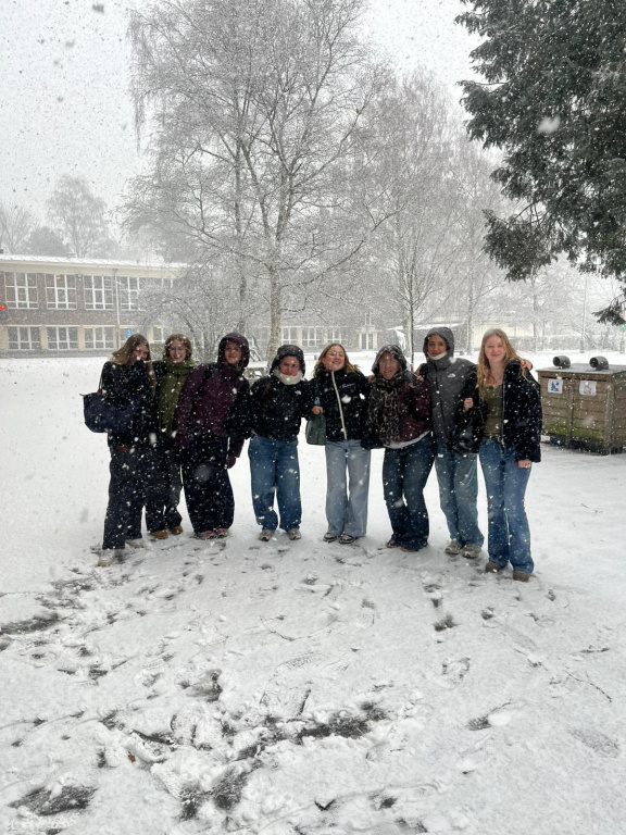 Willekeurige afbeelding uit het fotoalbum