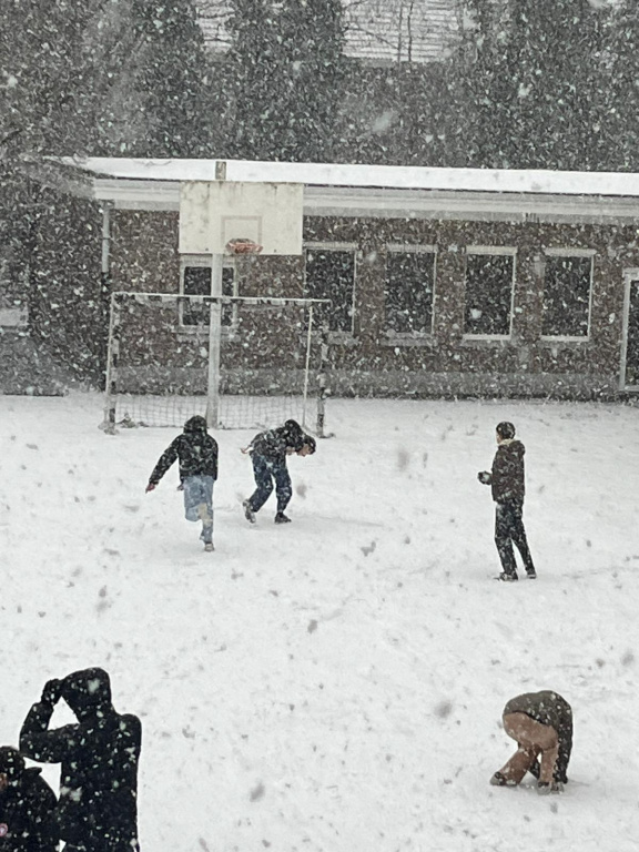 Willekeurige afbeelding uit het fotoalbum
