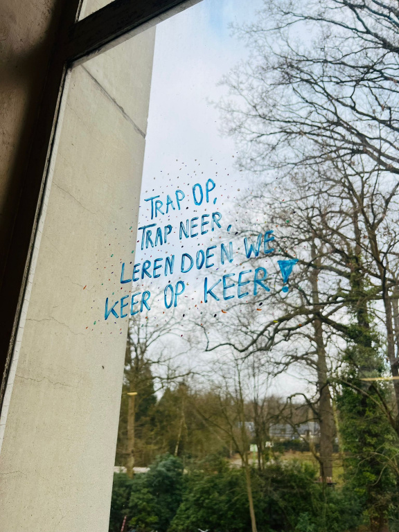 Willekeurige afbeelding uit het fotoalbum