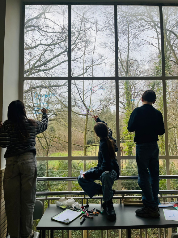 Willekeurige afbeelding uit het fotoalbum