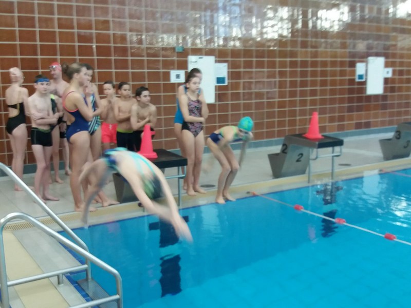 Willekeurige afbeelding uit het fotoalbum