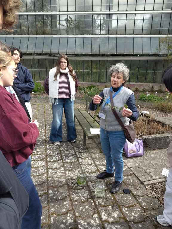 Willekeurige afbeelding uit het fotoalbum