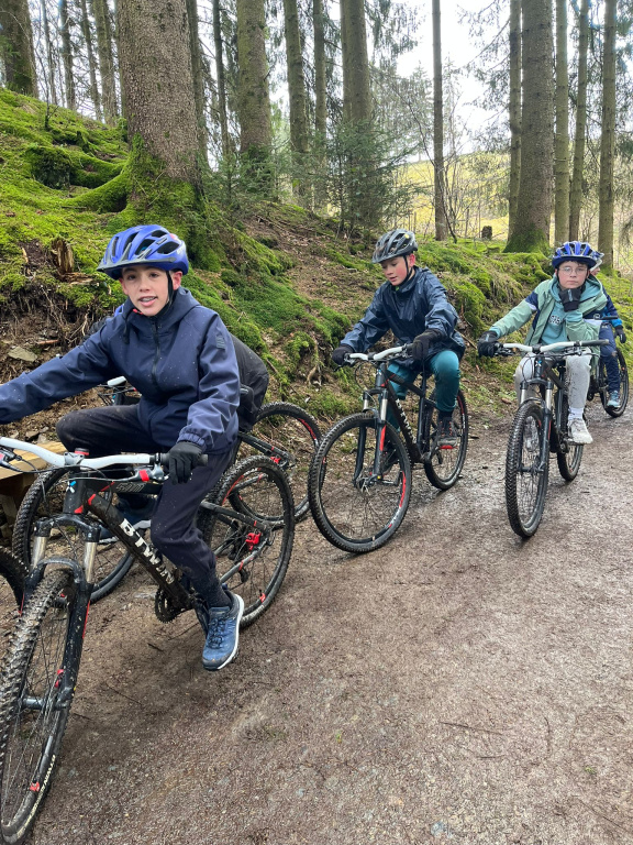 Willekeurige afbeelding uit het fotoalbum