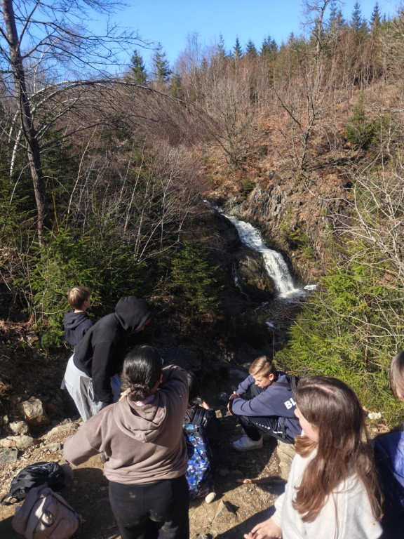 Willekeurige afbeelding uit het fotoalbum