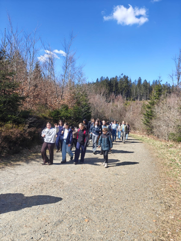 Willekeurige afbeelding uit het fotoalbum