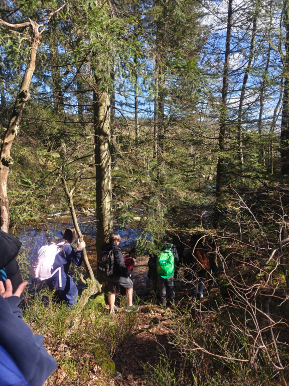 Willekeurige afbeelding uit het fotoalbum