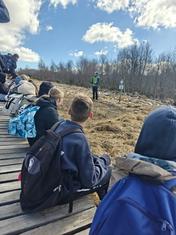 Willekeurige afbeelding uit het fotoalbum