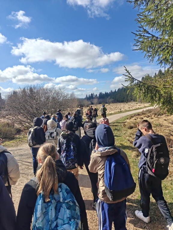 Willekeurige afbeelding uit het fotoalbum