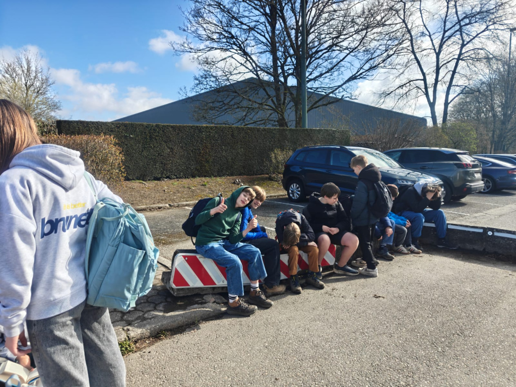 Willekeurige afbeelding uit het fotoalbum