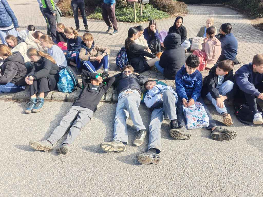 Willekeurige afbeelding uit het fotoalbum