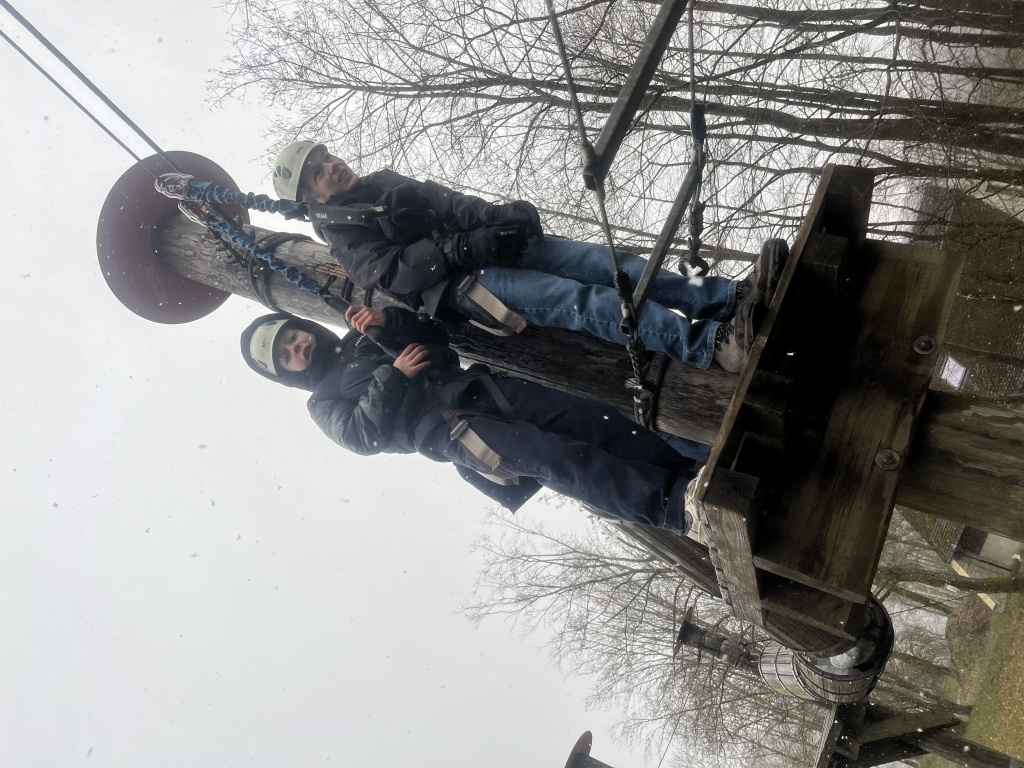 Willekeurige afbeelding uit het fotoalbum