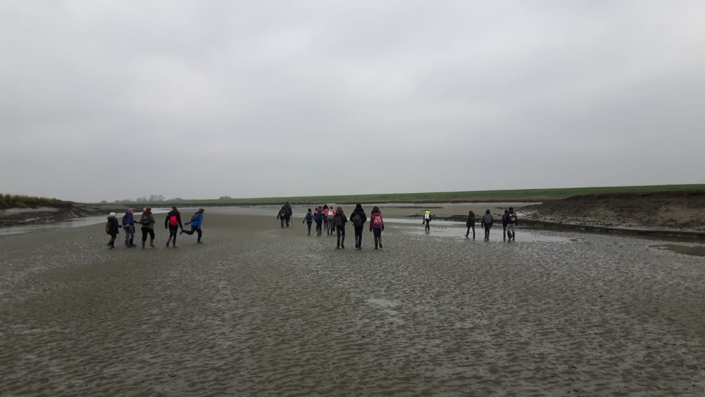 Willekeurige afbeelding uit het fotoalbum