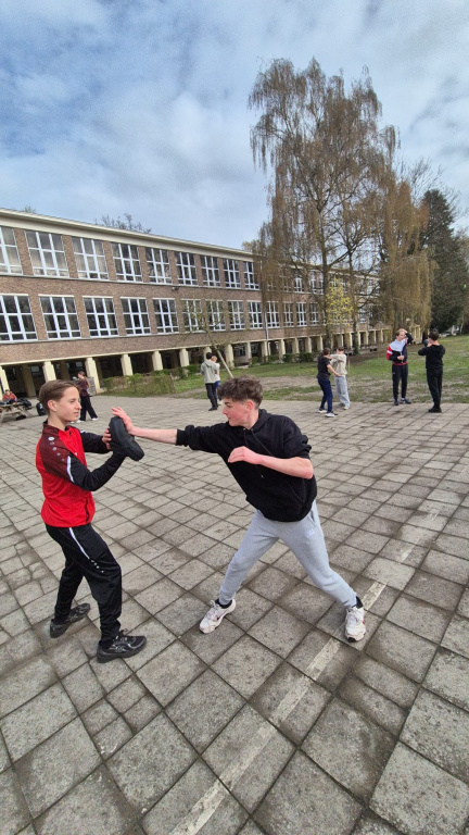 Willekeurige afbeelding uit het fotoalbum