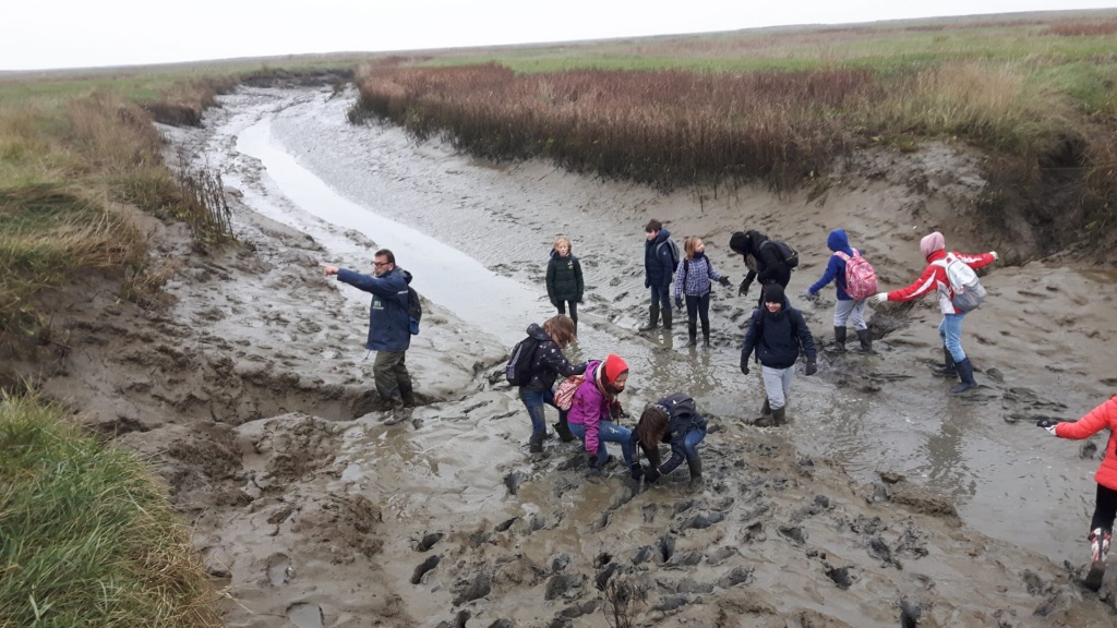 Willekeurige afbeelding uit het fotoalbum
