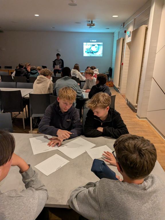 Willekeurige afbeelding uit het fotoalbum