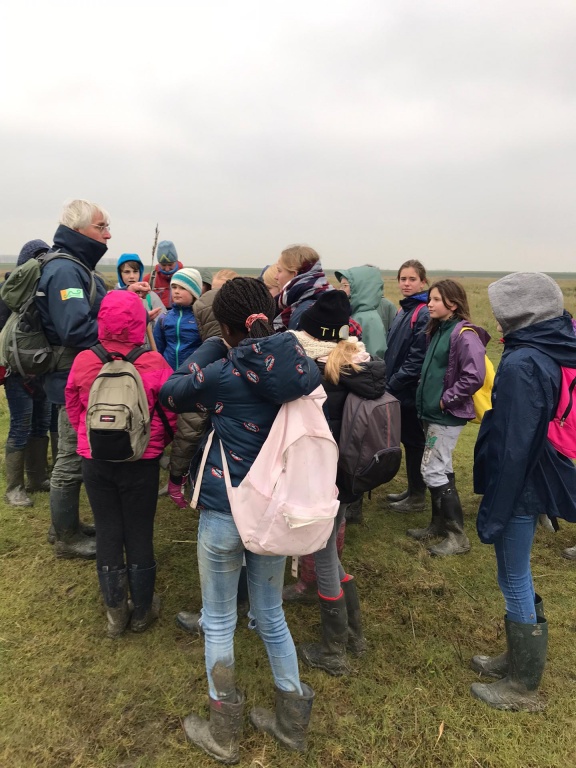 Willekeurige afbeelding uit het fotoalbum