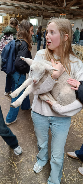 Willekeurige afbeelding uit het fotoalbum