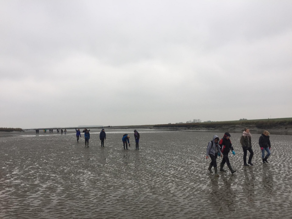 Willekeurige afbeelding uit het fotoalbum