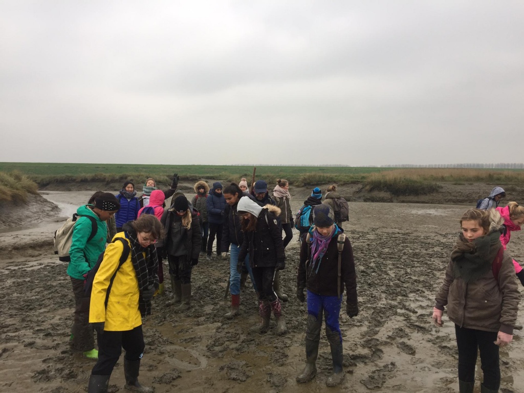 Willekeurige afbeelding uit het fotoalbum