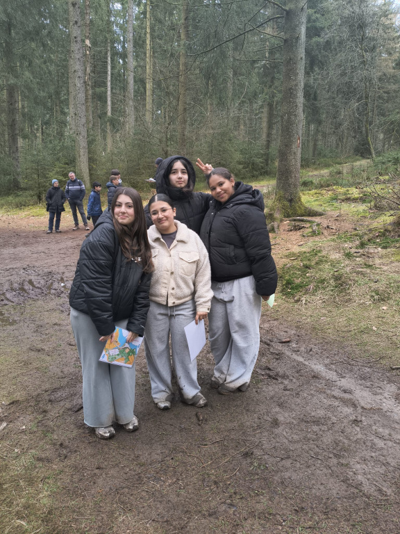Willekeurige afbeelding uit het fotoalbum