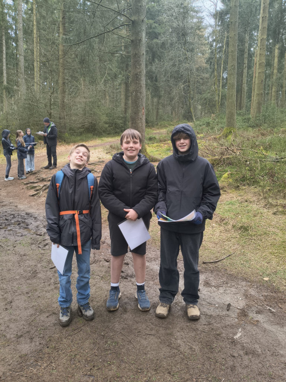 Willekeurige afbeelding uit het fotoalbum