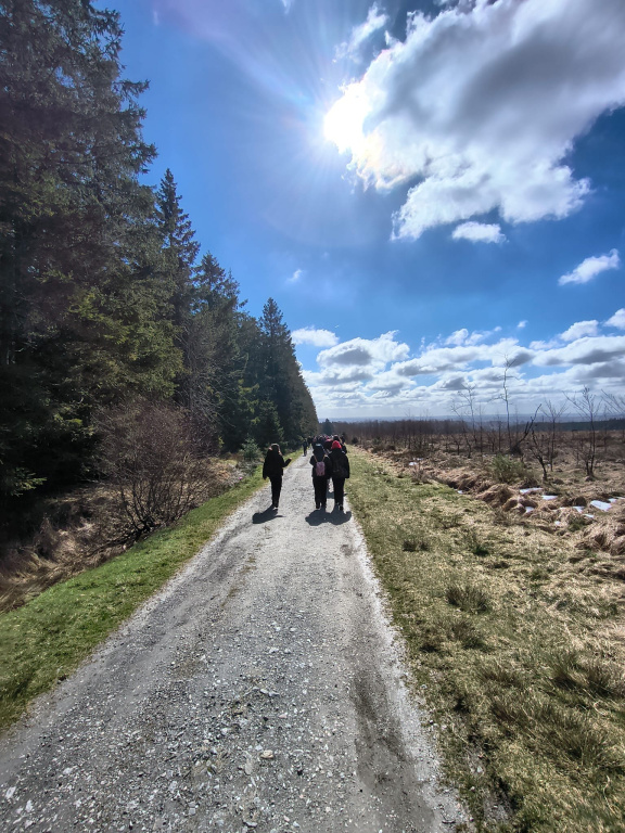 Willekeurige afbeelding uit het fotoalbum