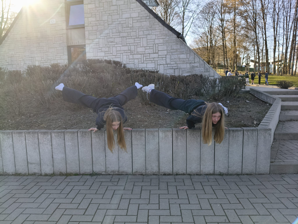 Willekeurige afbeelding uit het fotoalbum