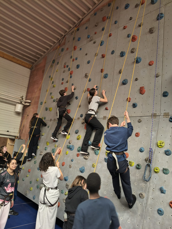 Willekeurige afbeelding uit het fotoalbum