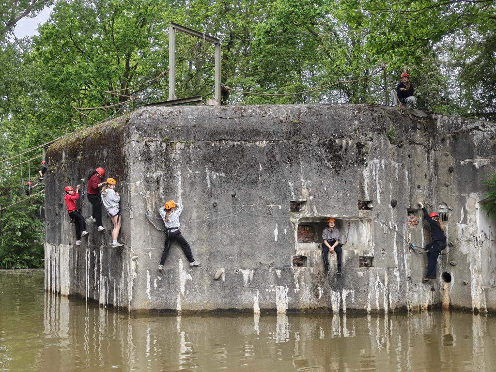 Willekeurige afbeelding uit het fotoalbum