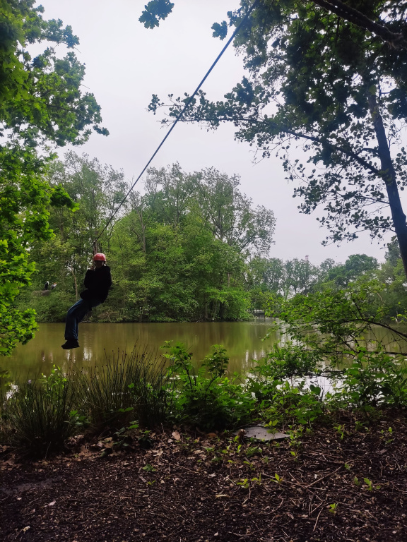 Willekeurige afbeelding uit het fotoalbum