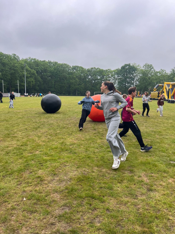 Willekeurige afbeelding uit het fotoalbum