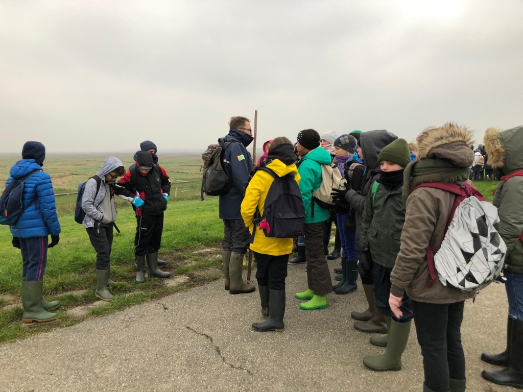 Willekeurige afbeelding uit het fotoalbum