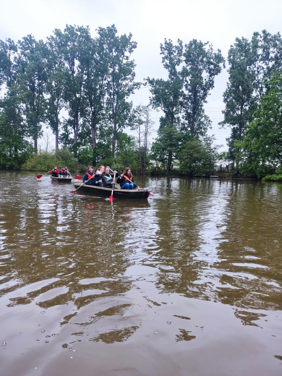 Willekeurige afbeelding uit het fotoalbum