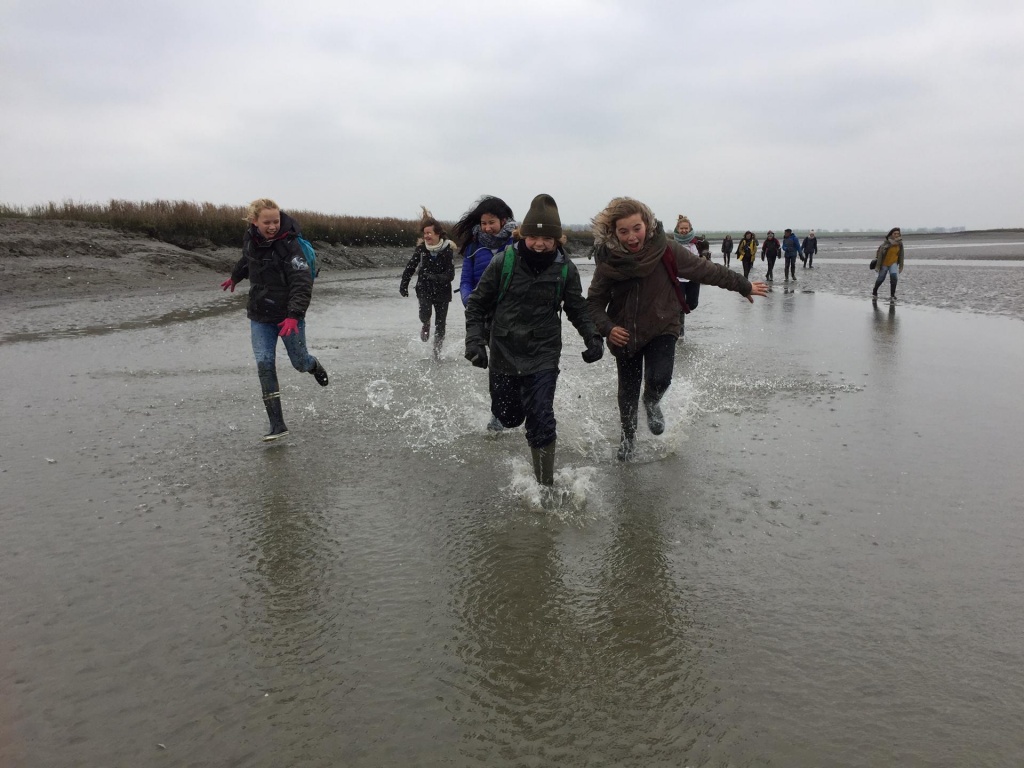 Willekeurige afbeelding uit het fotoalbum