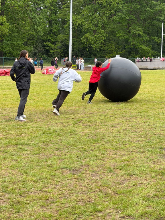Willekeurige afbeelding uit het fotoalbum